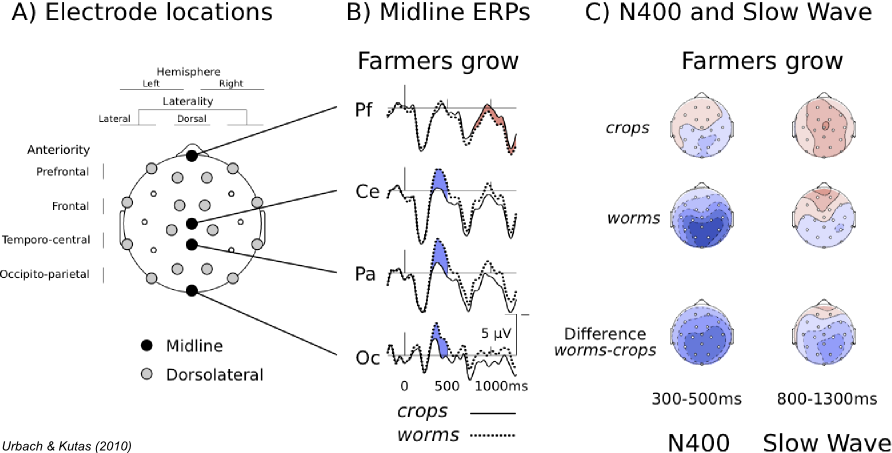 Urbach and Kutas (2011) Figure 1